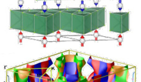 Single crystal neutron diffraction resolved the collinear antiferromagnetic structure of CoNb4Se8, revealing spin-split bands by density functional theory, providing key evidence for altermagnetism.