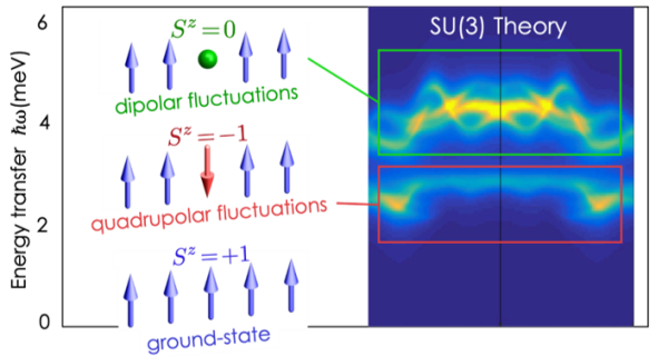 Hybridized quadrupolar and dipolar excitations in spin-1 FeI2. Left: The ground state of the ferromagnetic chain (bottom) has all spins in the Sz=+1 configuration. A single spin flip results in a spin with Sz=0 (top), an excitation with dipolar character. Two spin flips on the same site (middle) yield a bound excited state with quadrupolar character. Right: SU(3) theory shows the excitations are strongly hybridized and quantitatively explains the observed neutron scattering signal.