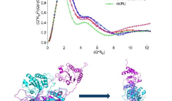 graphic_structural-dynamics-bifurcating-electron_news