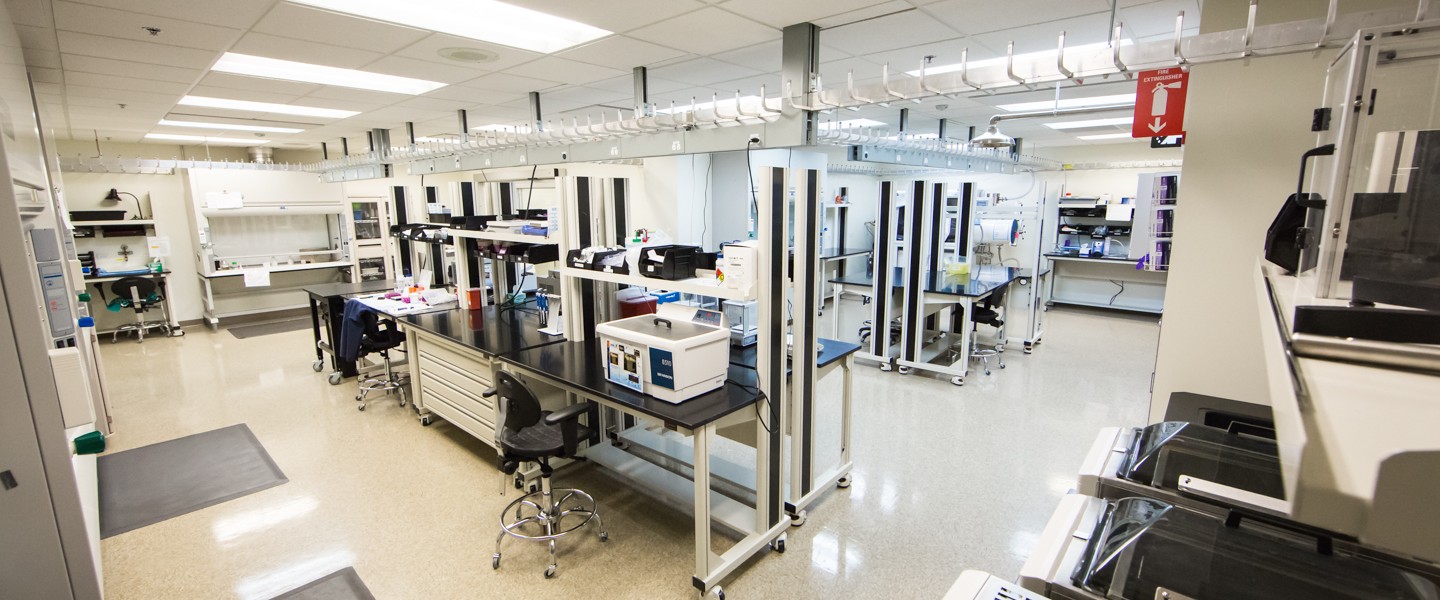 General Chemistry Laboratory