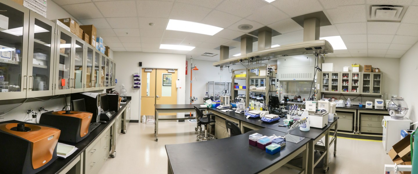 SWC Labs