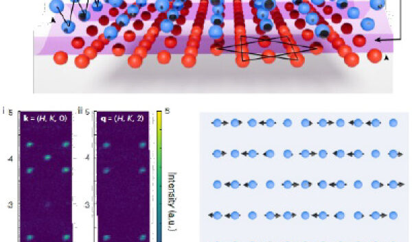 ORNL Placeholder Image